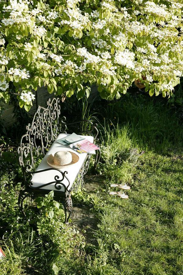 Moorland View Cottage North Bovey Esterno foto